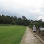 Bedlam Bay Oval adjacent to Gladesville Hospital - Field and River