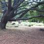 Newtown Cemetery