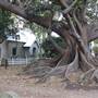 Newtown Cemetery