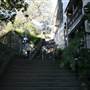 Agar Steps - Millers Point