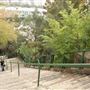 McElhone Stairs