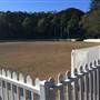 Trumper Oval