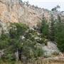 Goulburn Escarpment