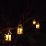 Moosewood, Kangaroo Valley