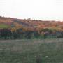 Rainevale Park/Mymms Farm