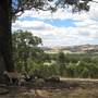 Rainevale Park/Mymms Farm