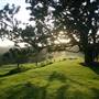 Kilfeacle