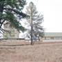 Sponars Chalet