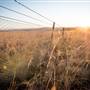 Monaro Plains