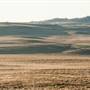 Monaro Plains