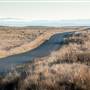 Monaro Plains