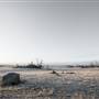 Monaro - Winter Frost