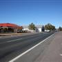 Temora
