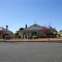 Temora