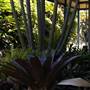 Rathborne Lodge - Royal Botanic Garden Sydney