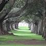 Centennial Park
