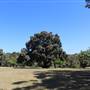 Centennial Park - Loch Ave South