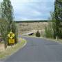 Monaro Plains