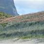 Lord Howe Island