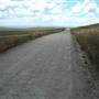 Monaro Plains