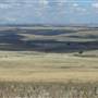 Monaro Plains