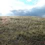 Monaro Plains