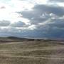 Monaro Plains