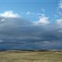 Monaro Plains