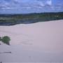 Cronulla Sand Dunes