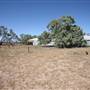 Bindara Station on the Darling - Period Homestead & Outbuildings