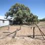 Bindara Station on the Darling - Period Homestead & Outbuildings