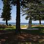 Collaroy Beach
