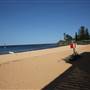 Collaroy Beach