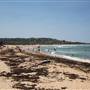 Dee Why Beach and Surrounds