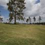 Barangaroo Reserve