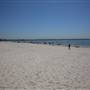 Brighton Le Sands Beach