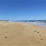 Corrimal - East Corrimal Beach