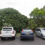Bilgola Plateau neighbourhood