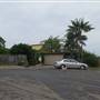 Bilgola Plateau neighbourhood