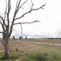 Private Property - Cardross Goulburn