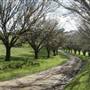 Private House - Crookwell