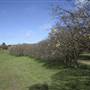 Private House - Crookwell