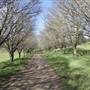Private House - Crookwell