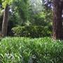 The Ridge at Bowral-Private property
