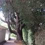 The Ridge at Bowral