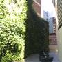 1 Bligh Street