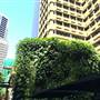1 Bligh Street