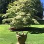 The Ridge at Bowral