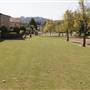 HARRINGTON PARK HOUSES