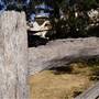 Kellyville Ridge Houses